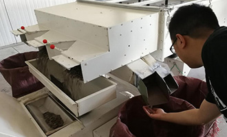 一顆新疆瓜子的河南故事！良品鋪子供應(yīng)鏈溯源，“五星級”瓜子有啥不一樣